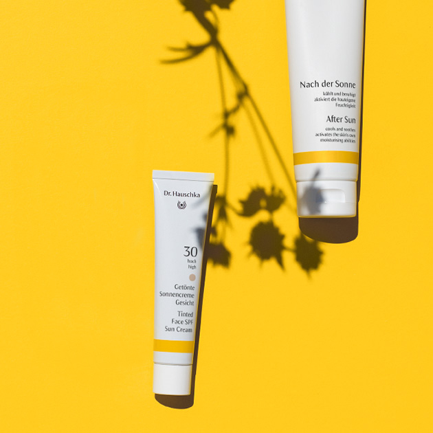 Dr. Hauschka